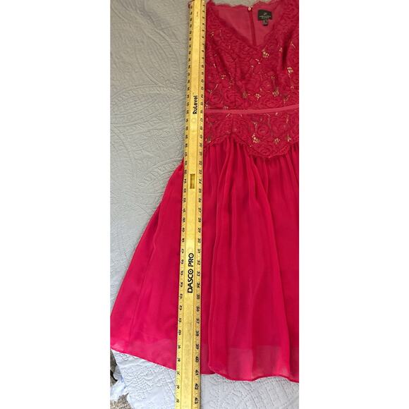 NWT Adrianna Papell Sz 8 Chiffon Lace Overlay Fit N Flare Dk Pink Zip Drop Waist - Picture 12 of 16